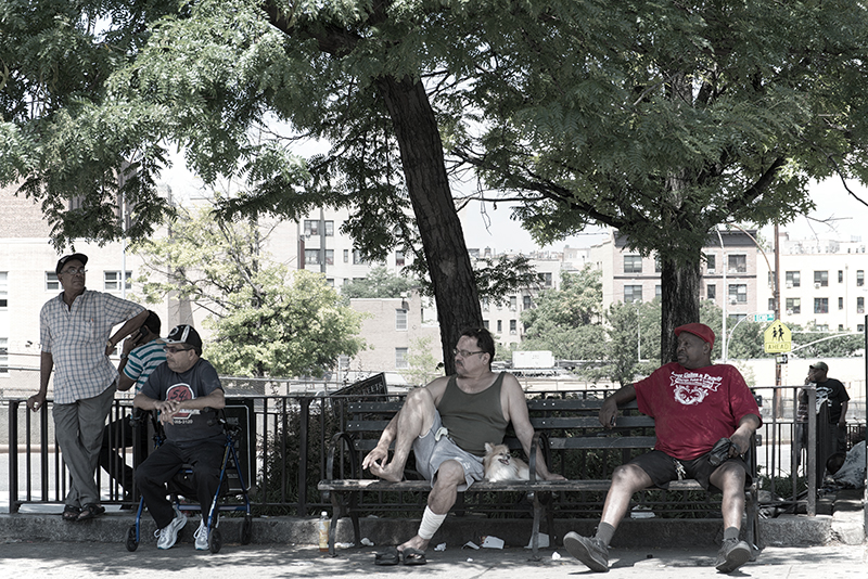 Men sitting on bench under trees.