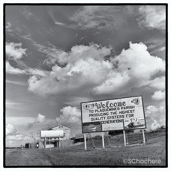 Highway sign: Welcome to Plaquemines, producing the highest quality oysters for generations.