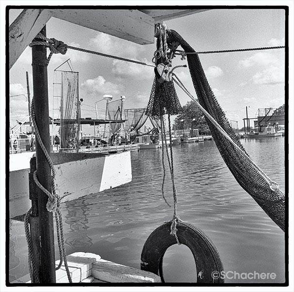 View of water and nets at marina.