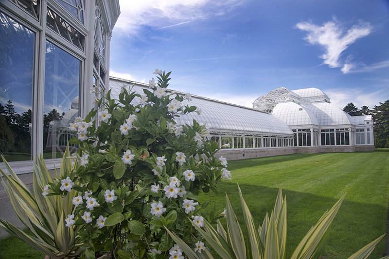 Conservatory at Bronx Botanical Garden