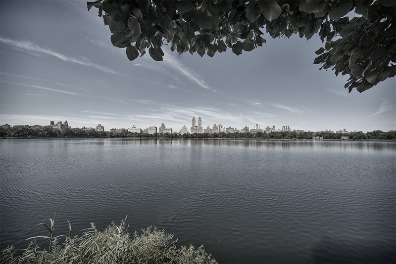Central Park, New York Reservoir with skyline in distance