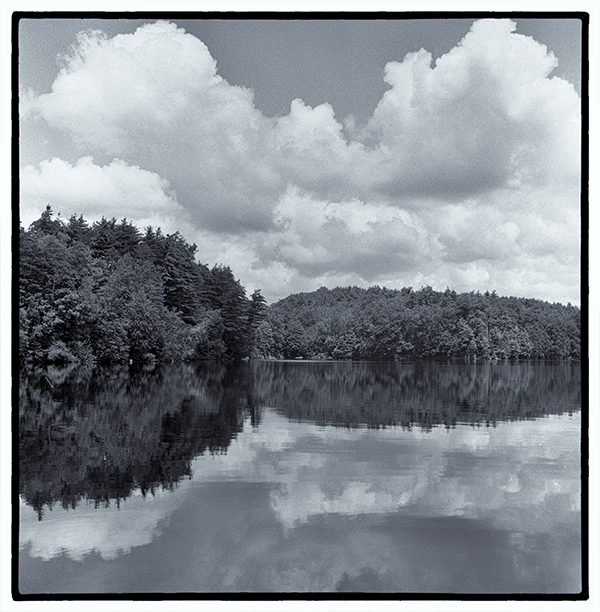 Clouds and trees reflected in water