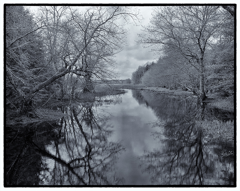 Trees and reflections in water