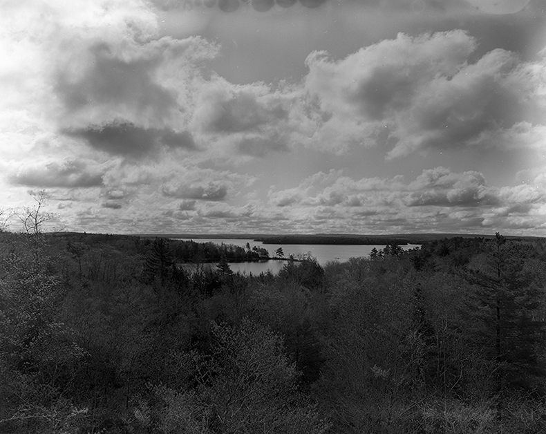 Reeds, trees against cloudy sky; shoreline in distance