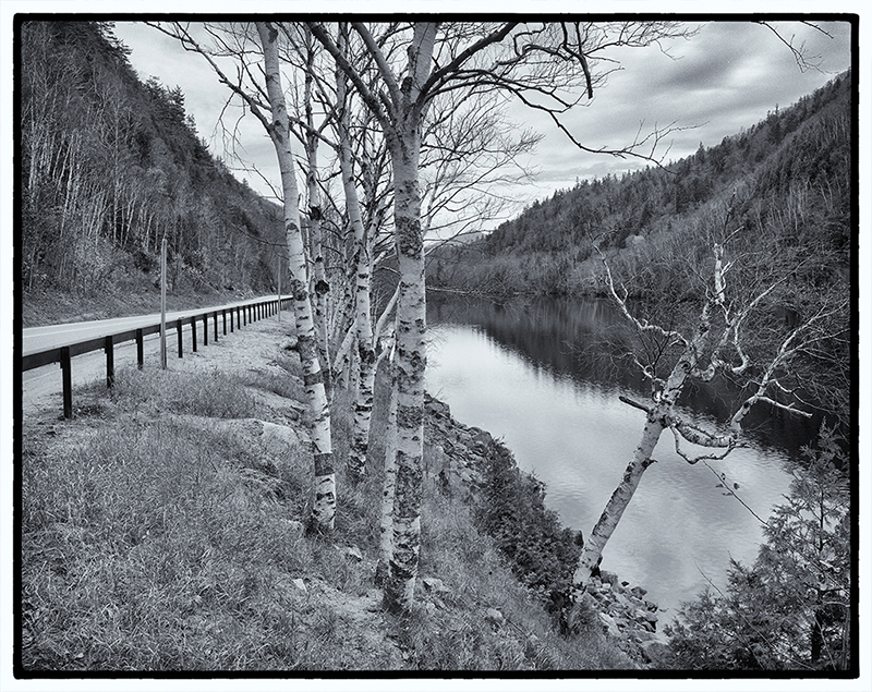 Road and birch trees along creek and hills